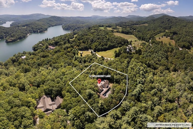 aerial view with a water and mountain view