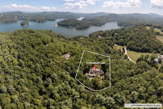 bird's eye view with a water and mountain view