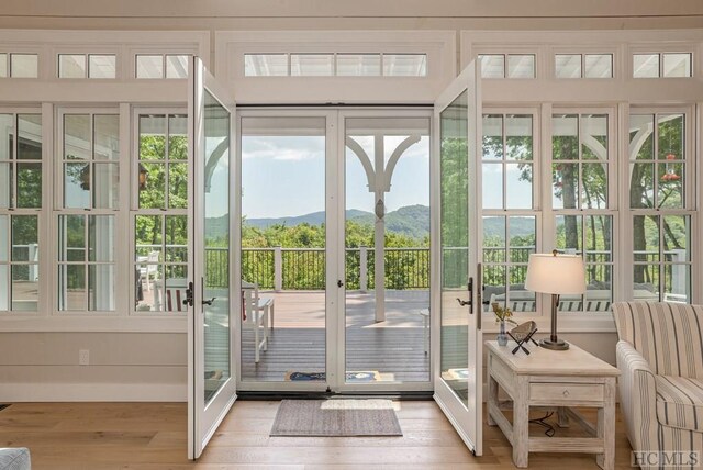 doorway to outside with a mountain view, light hardwood / wood-style floors, and a healthy amount of sunlight