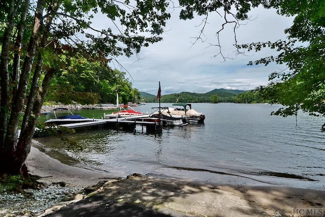 dock area with a water view