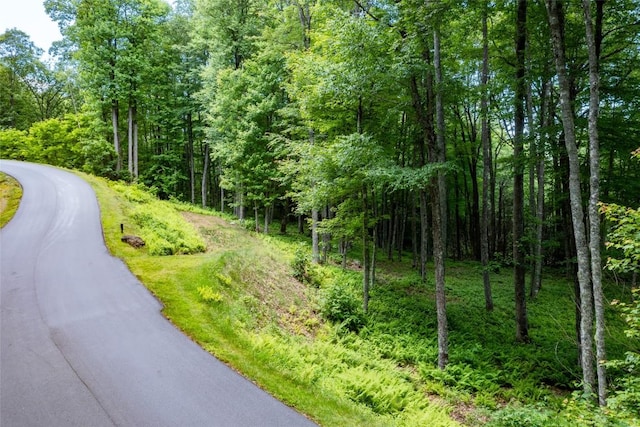 LOT70 Firesong Ln, Glenville, NC 28717