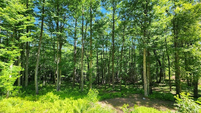 LOT70 Firesong Ln, Glenville, NC 28717