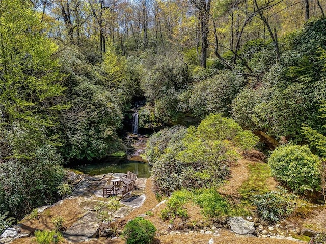 199 Mills Creek Point Rd, Lake Toxaway, NC 28747 - aerial view featuring a wooded view
