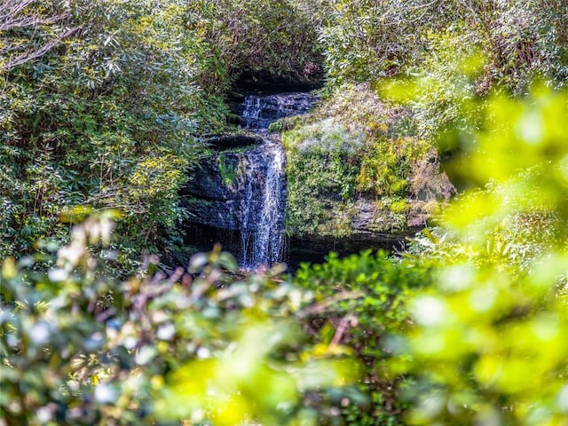 199 Mills Creek Point Rd, Lake Toxaway, NC 28747 - view of nature