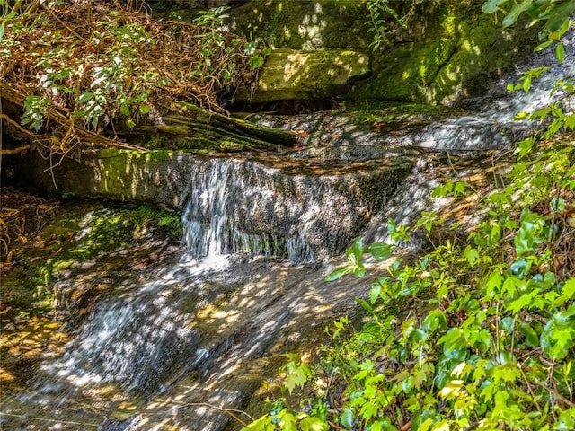 199 Mills Creek Point Rd, Lake Toxaway, NC 28747 - view of local wilderness