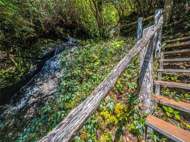 199 Mills Creek Point Rd, Lake Toxaway, NC 28747 - view of yard