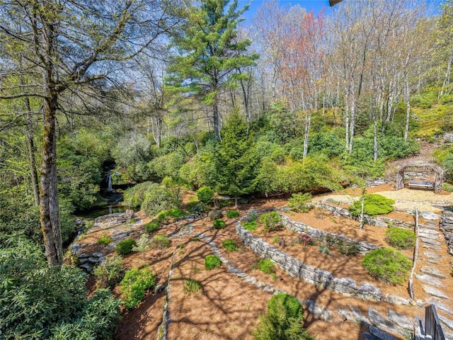 199 Mills Creek Point Rd, Lake Toxaway, NC 28747 - view of yard