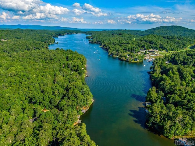 drone / aerial view featuring a water and mountain view