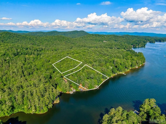 drone / aerial view with a water and mountain view