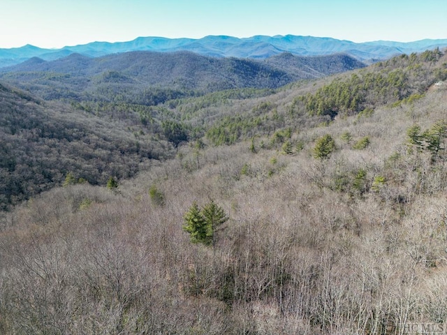 Listing photo 2 for none Highland Gap Road, Scaly Mountain NC 28775