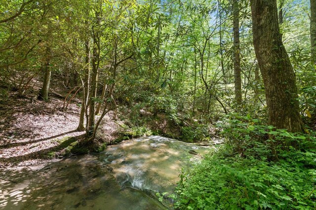 8378 Dillard Rd, Scaly Mountain, NC 28775 - view of nature