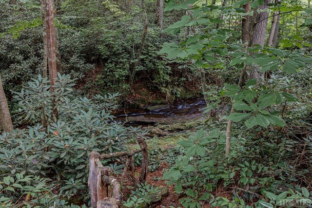 TBD Rockhouse Falls Lane, Sapphire, NC 28774