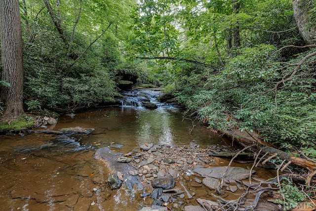 TBD Rockhouse Falls Lane, Sapphire, NC 28774