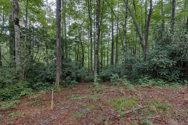 TBD Rockhouse Falls Lane, Sapphire, NC 28774