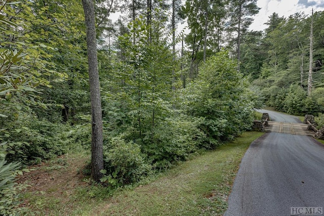 TBD Rockhouse Falls Lane, Sapphire, NC 28774