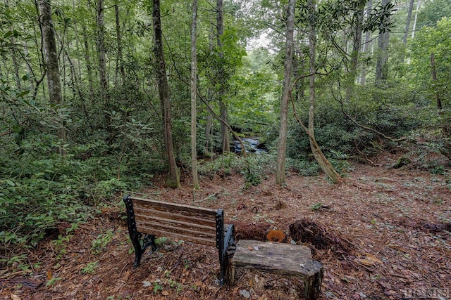 TBD Rockhouse Falls Lane, Sapphire, NC 28774