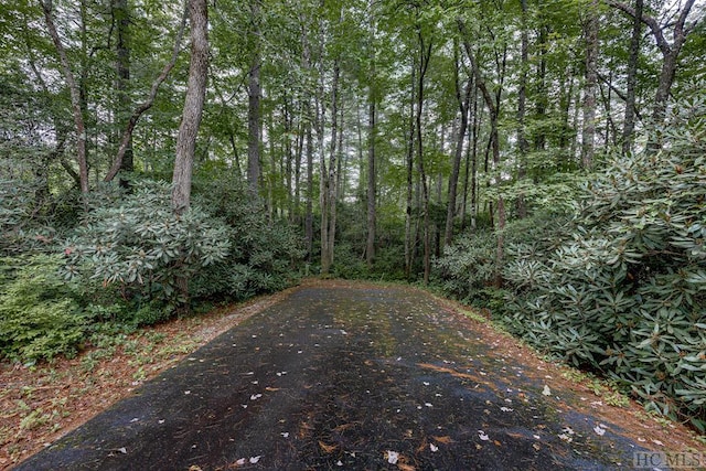 TBD Rockhouse Falls Lane, Sapphire, NC 28774