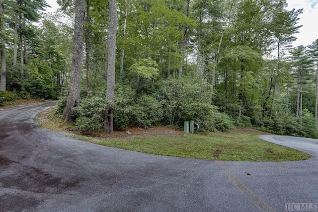TBD Rockhouse Falls Lane, Sapphire, NC 28774