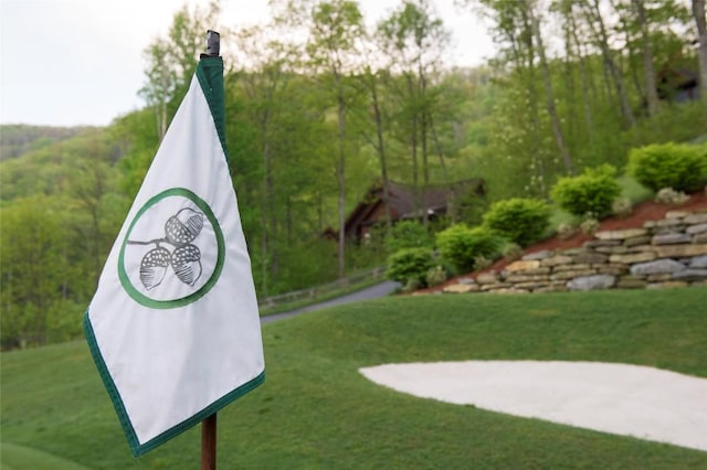 523 Broadview Dr, Highlands, NC 28741 - view of home's community featuring a yard