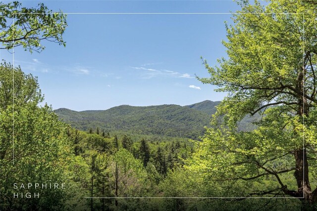 169 Heather View Ln, Sapphire, NC 28774 - view of mountain backdrop featuring a forest