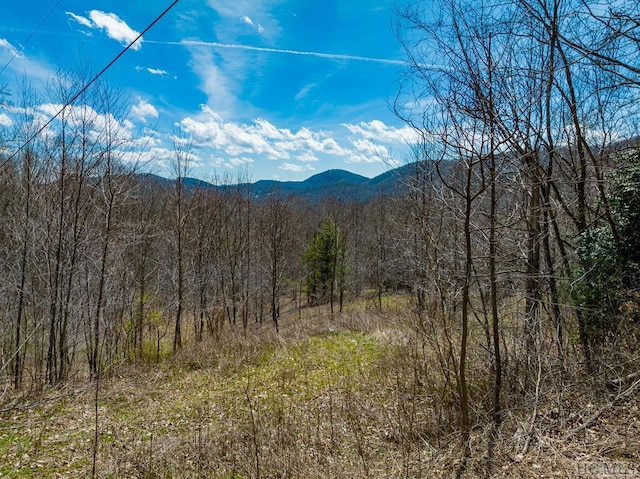 Listing photo 2 for 0000 Big Ridge Rd, Glenville NC 28736