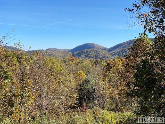 0000 Big Ridge Rd, Glenville NC, 28736 land for sale