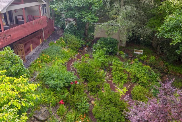 3398 Cullowhee Forest Rd, Cullowhee, NC 28723 - view of yard