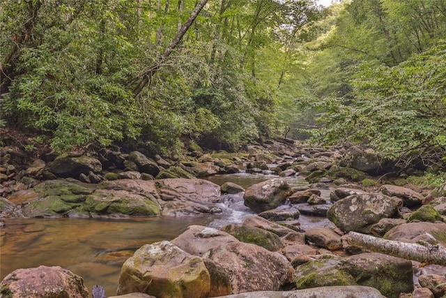3398 Cullowhee Forest Rd, Cullowhee, NC 28723 - view of wooded area