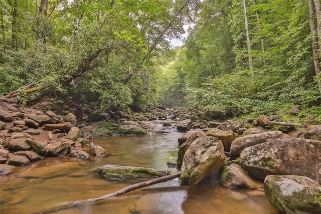 3398 Cullowhee Forest Rd, Cullowhee, NC 28723 - water view featuring a forest