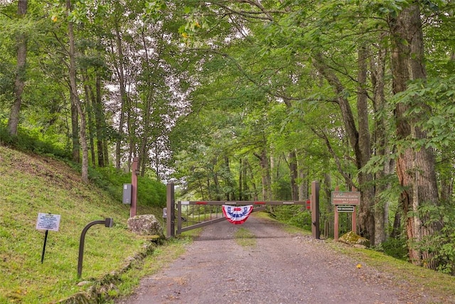 3398 Cullowhee Forest Rd, Cullowhee, NC 28723 - view of property's community with a gate, dirt driveway, and a view of trees