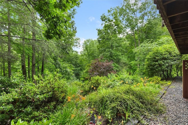 3398 Cullowhee Forest Rd, Cullowhee, NC 28723 - view of undeveloped land