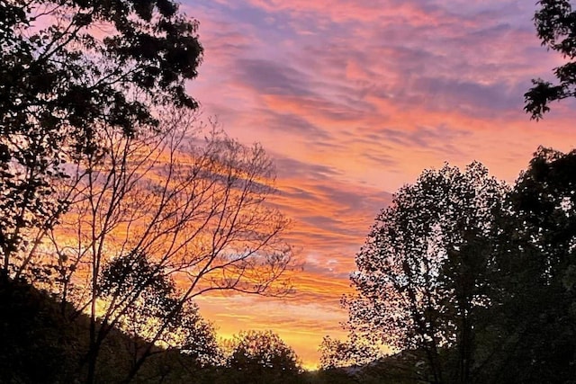 3398 Cullowhee Forest Rd, Cullowhee, NC 28723 - view of nature at dusk