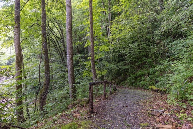 3398 Cullowhee Forest Rd, Cullowhee, NC 28723 - view of tree filled area