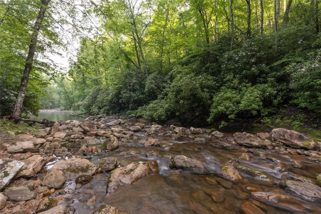 3398 Cullowhee Forest Rd, Cullowhee, NC 28723 - view of woods