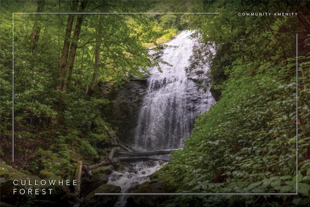 3398 Cullowhee Forest Rd, Cullowhee, NC 28723 - view of property location featuring a heavily wooded area