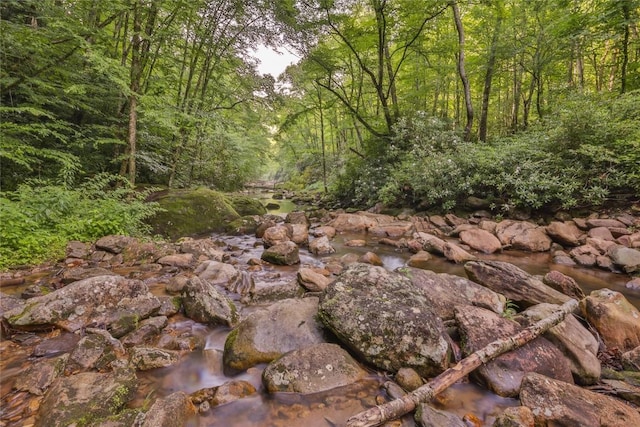 3398 Cullowhee Forest Rd, Cullowhee, NC 28723 - view of wooded area