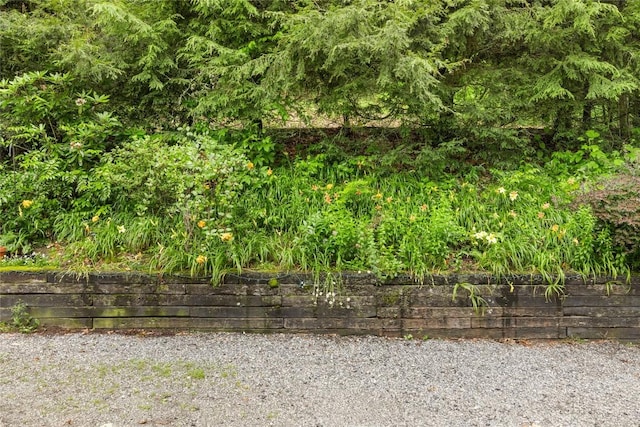 3398 Cullowhee Forest Rd, Cullowhee, NC 28723 - view of yard