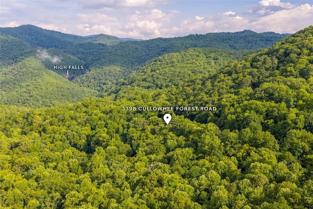 3398 Cullowhee Forest Rd, Cullowhee, NC 28723 - mountain view featuring a forest