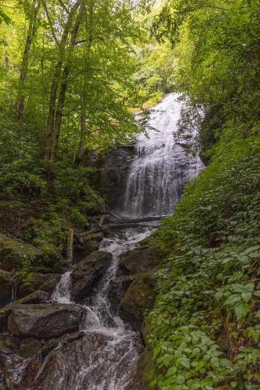 3398 Cullowhee Forest Rd, Cullowhee, NC 28723 - water view with a heavily wooded area