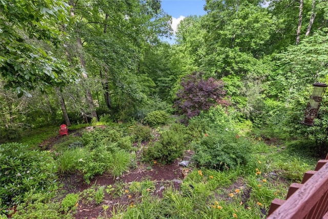 3398 Cullowhee Forest Rd, Cullowhee, NC 28723 - view of yard with a wooded view