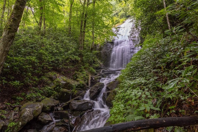 3398 Cullowhee Forest Rd, Cullowhee, NC 28723 - view of woods