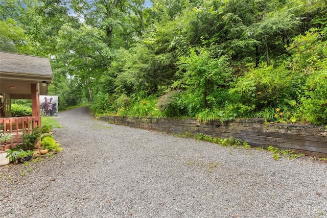 3398 Cullowhee Forest Rd, Cullowhee, NC 28723 - view of yard featuring driveway