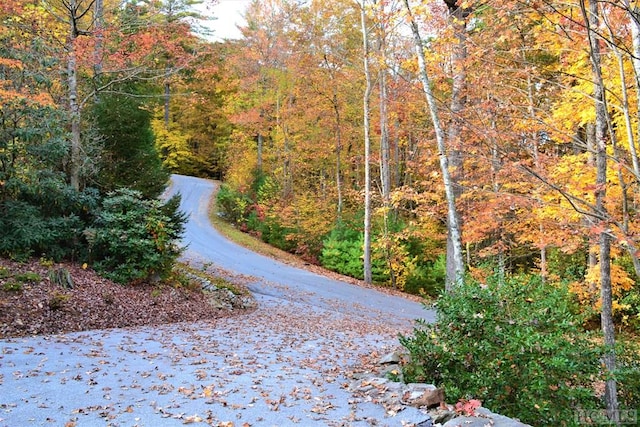 view of road