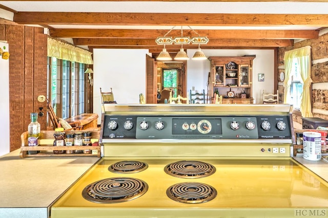 interior details featuring stove and hanging light fixtures