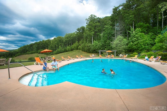 view of pool featuring a patio area