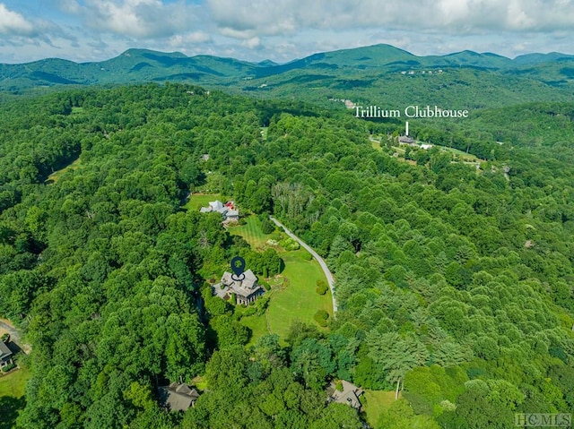 drone / aerial view with a mountain view