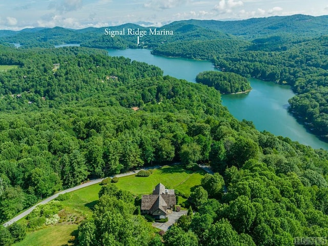 drone / aerial view with a water and mountain view