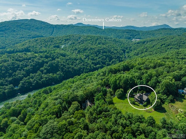 bird's eye view with a mountain view