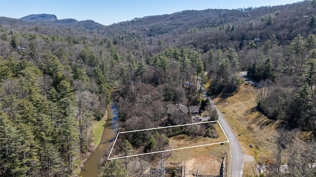 drone / aerial view with a mountain view and a view of trees