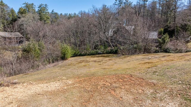 view of local wilderness featuring a view of trees